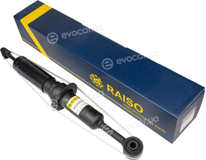 Raiso RS313781