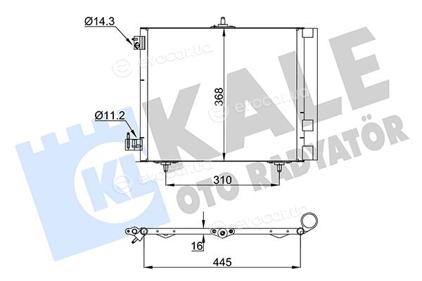 Kale 358440