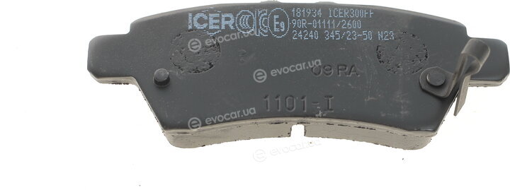 Icer 181934