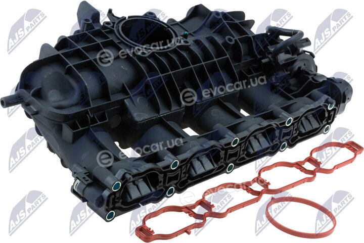 NTY BKS-VW-031