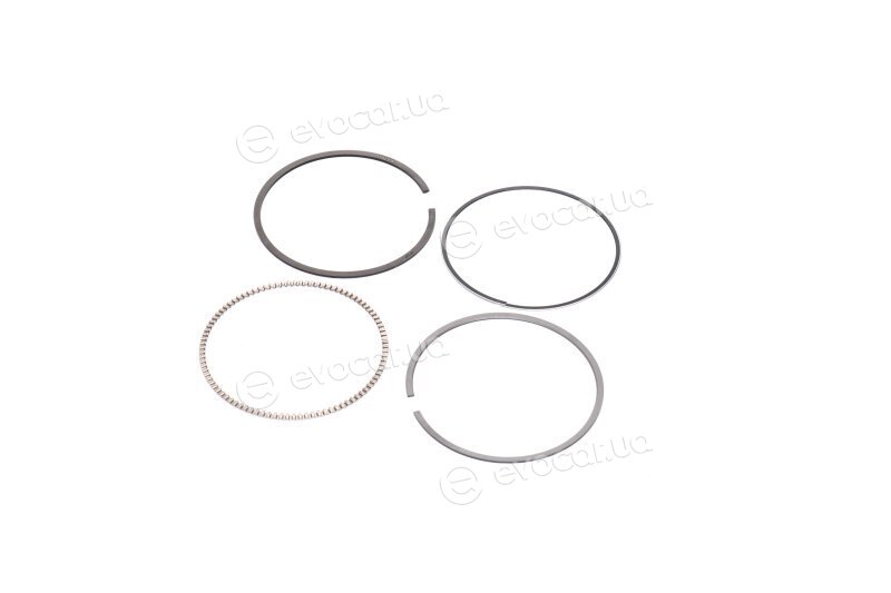 Mahle 081 RS 00104 0N0