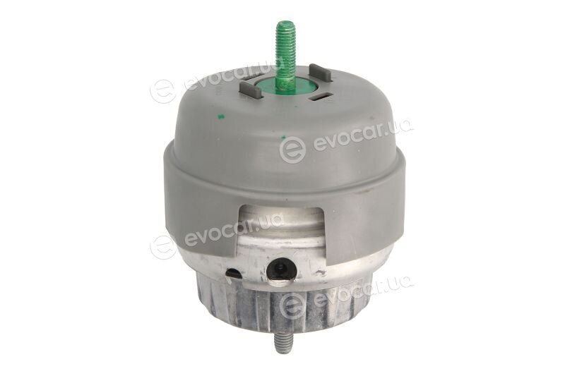Reinhoch RH11-0078
