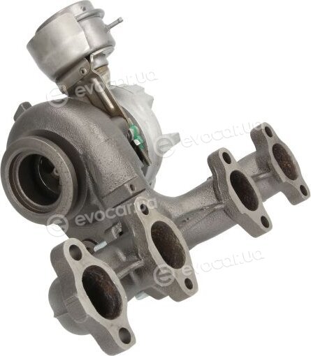 BorgWarner 54399880071/R