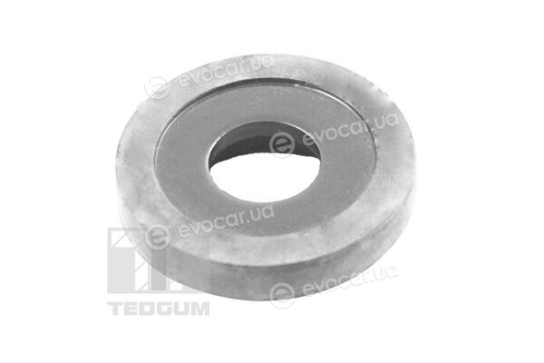 Tedgum 00515797