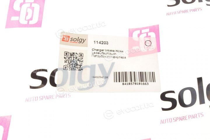 Solgy 114203