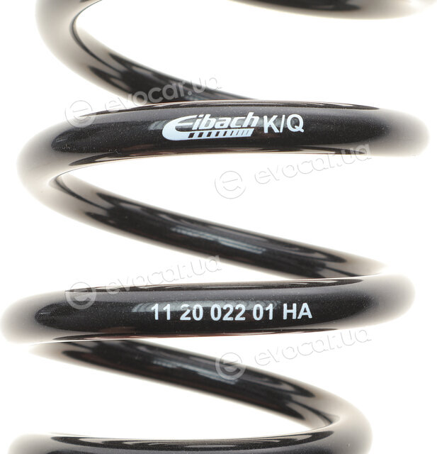 Eibach E10-20-022-01-22