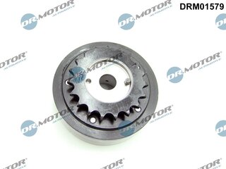 Dr. Motor DRM01579