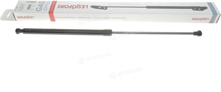 Lesjofors 8117004