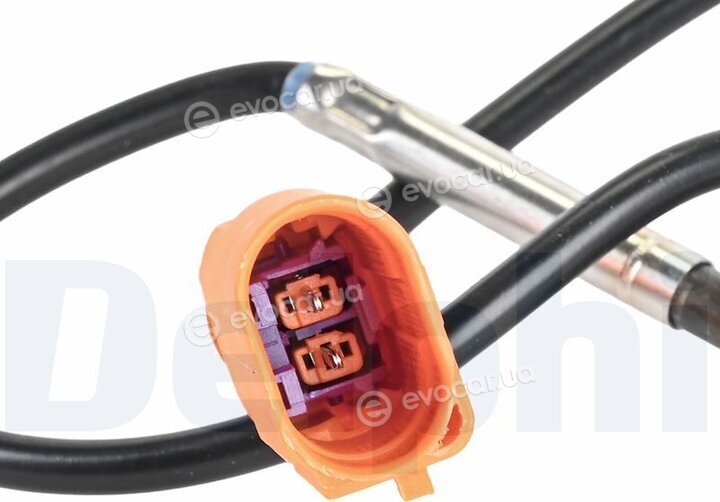Delphi TS30306-12B1