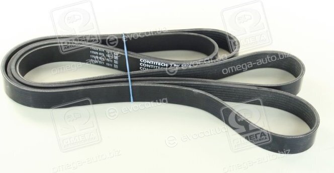 Continental 7PK2710