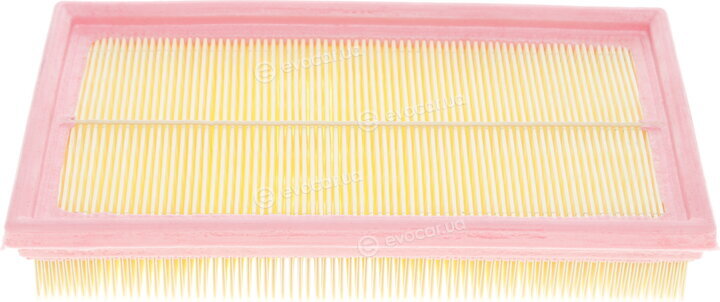 Solgy 103039