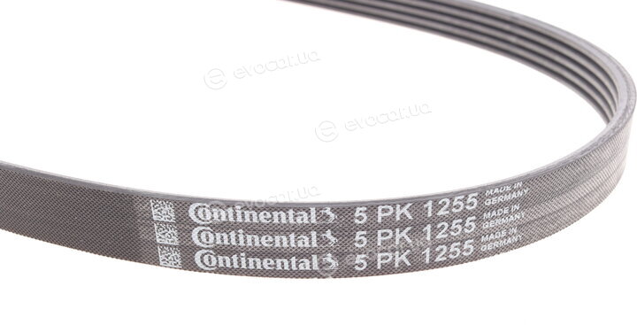 Continental 5PK1255