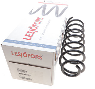 Lesjofors 4204211