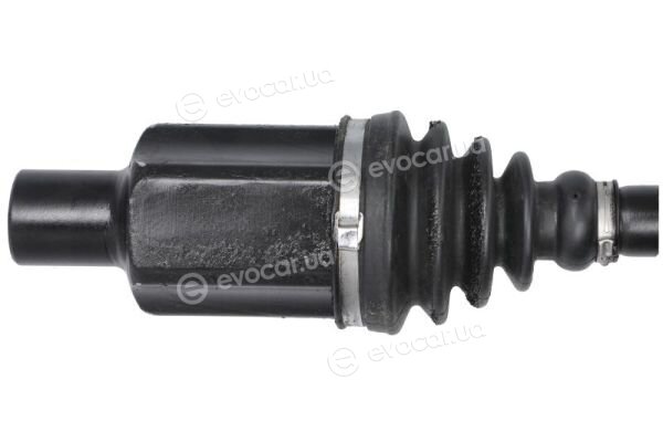 Point Gear PNG75909