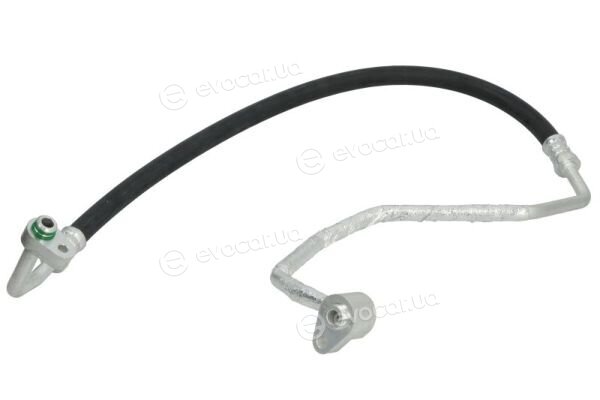 Thermotec KTT160184