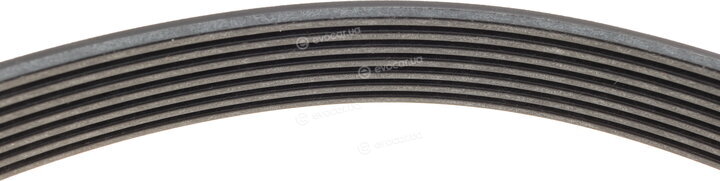 Renault / Nissan 117205678R