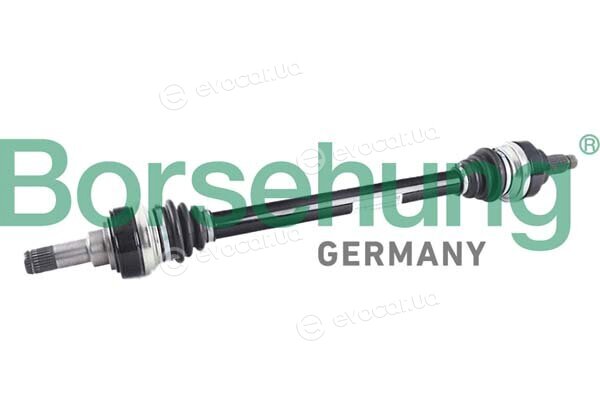 Borsehung B12492