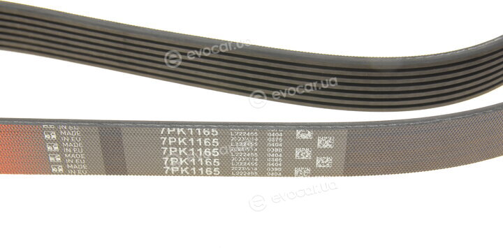 Gates 7PK1165