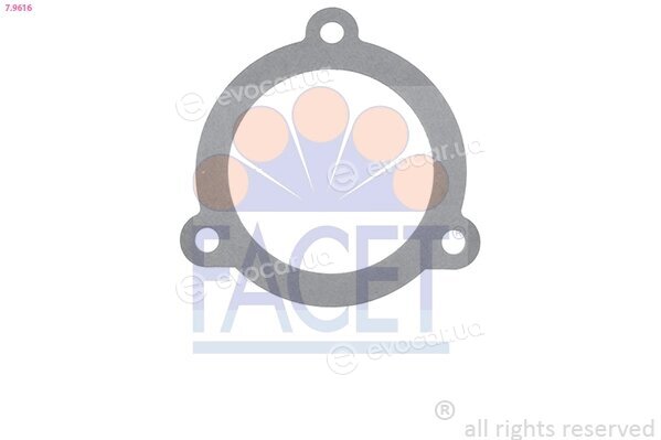Facet 7.9616