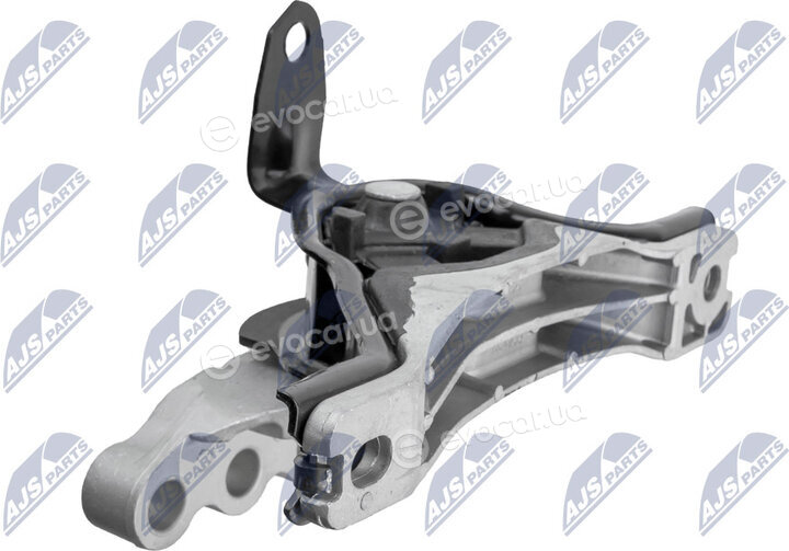 NTY ZPS-PL-041