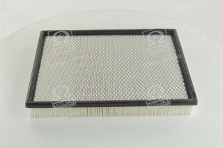 Champion CAF100707P