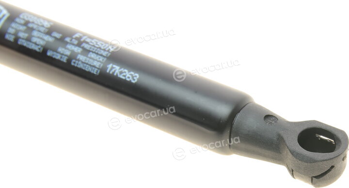 Magneti Marelli 430719089600