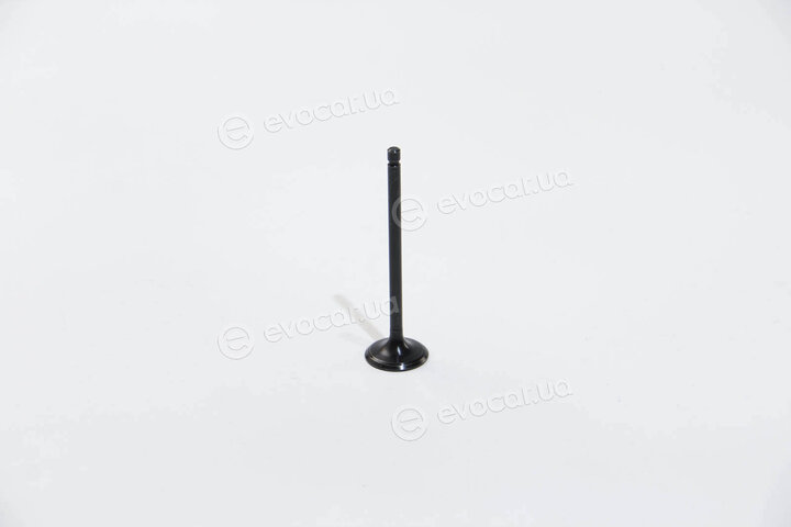 BGA V165380