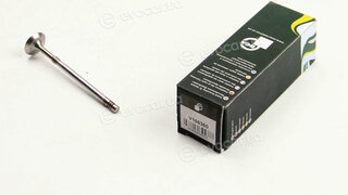 BGA V166360