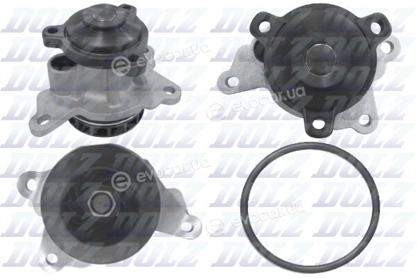 Dolz R243