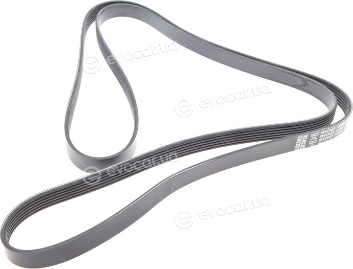 Dayco 6PK2440