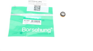 Borsehung B11897