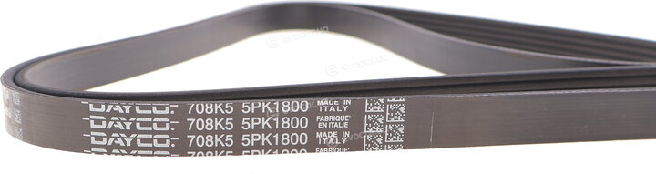 Dayco 5PK1800