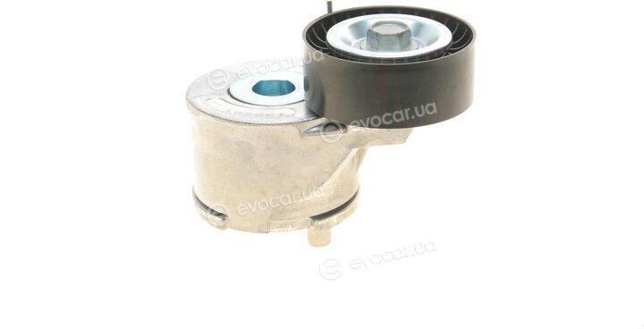 Dayco APV3865
