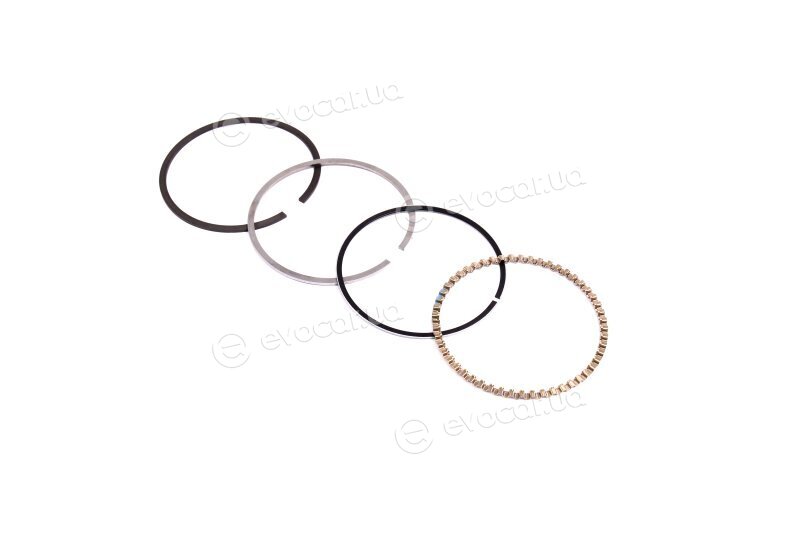 Mahle 028 RS 10116 0N0