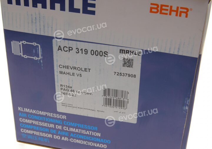 Mahle ACP 319 000S