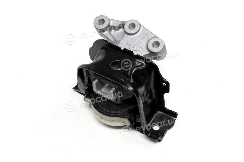 Sasic 2700043