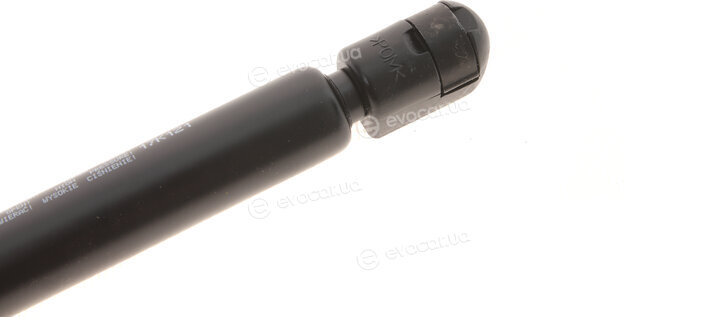 Magneti Marelli 430719084100