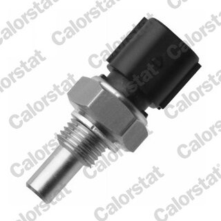 Vernet / Calorstat WS3065
