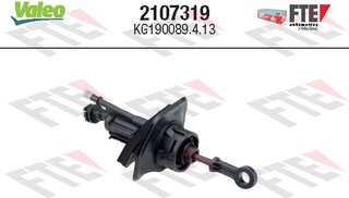 FTE 2107319