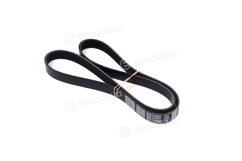 Dayco 6PK1245DT