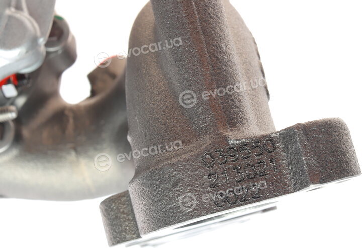 BorgWarner 53039880205
