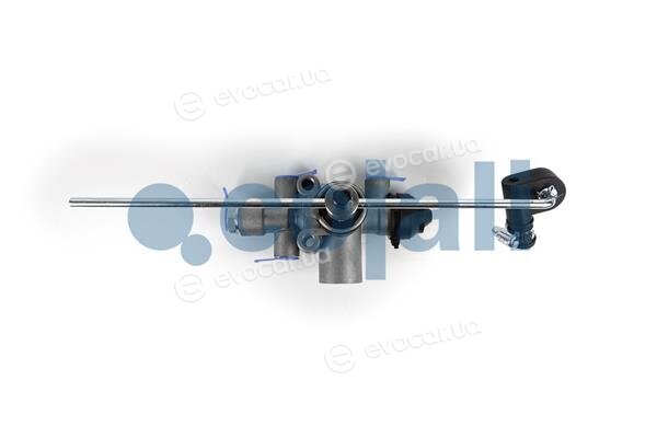 Cojali 2314407