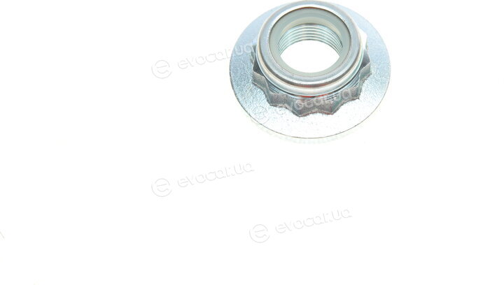 Borsehung B11287