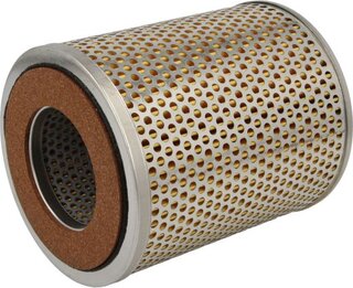 Hengst E138H01