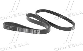 Dayco PVE003