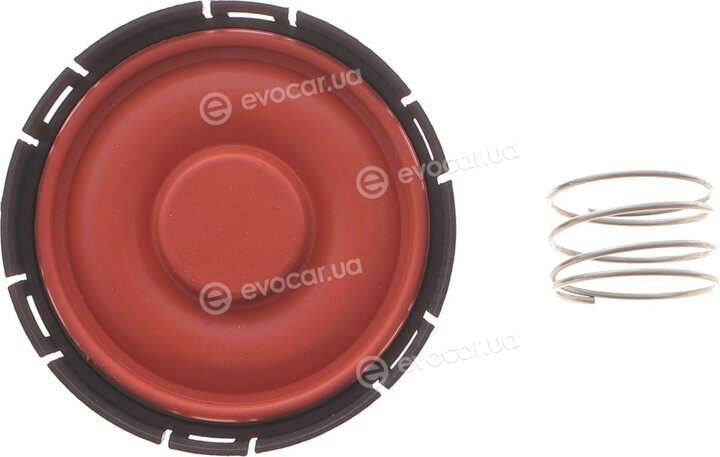 Solgy 124056
