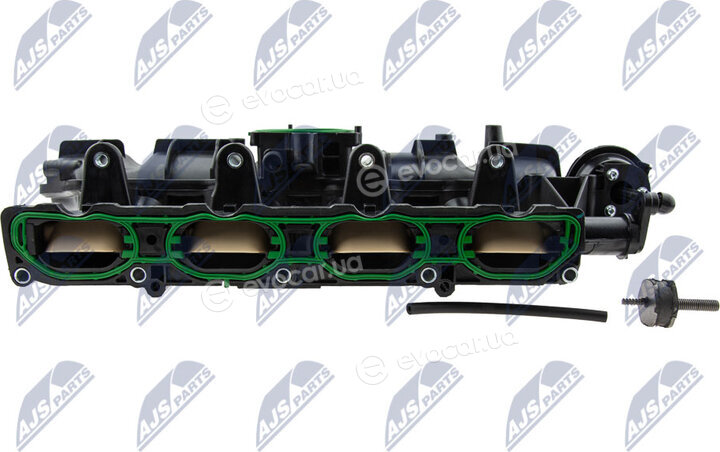 NTY BKS-VW-017