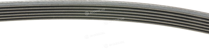 Continental 6PK2245