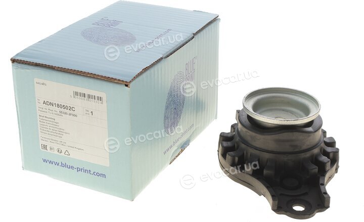Blue Print ADN180502C
