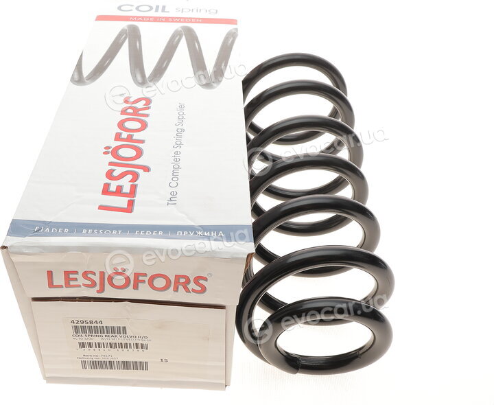 Lesjofors 4295844